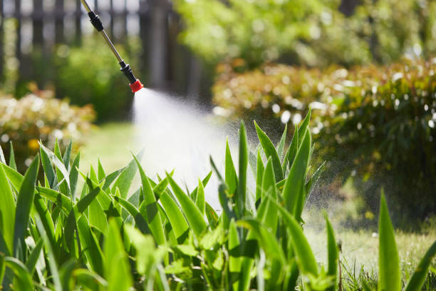 24/7 Emergency Mosquito Control experts in Kamiah, ID